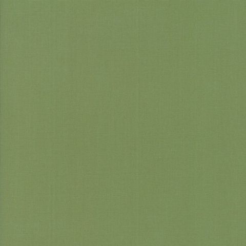 Prairie Green Bella Solids