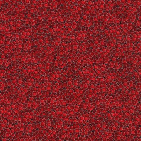Holly Berries Red and Silver